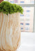 Cammen Vase - Eclectic 79 Furniture Store