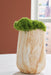 Cammen Vase - Eclectic 79 Furniture Store