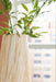 Cammen Vase - Eclectic 79 Furniture Store