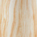 Cammen Vase - Eclectic 79 Furniture Store