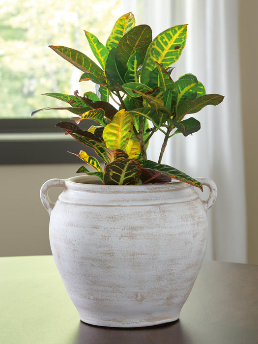 Meadie Vase - Eclectic 79 Furniture Store