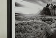 Delstone Wall Art - Eclectic 79 Furniture Store