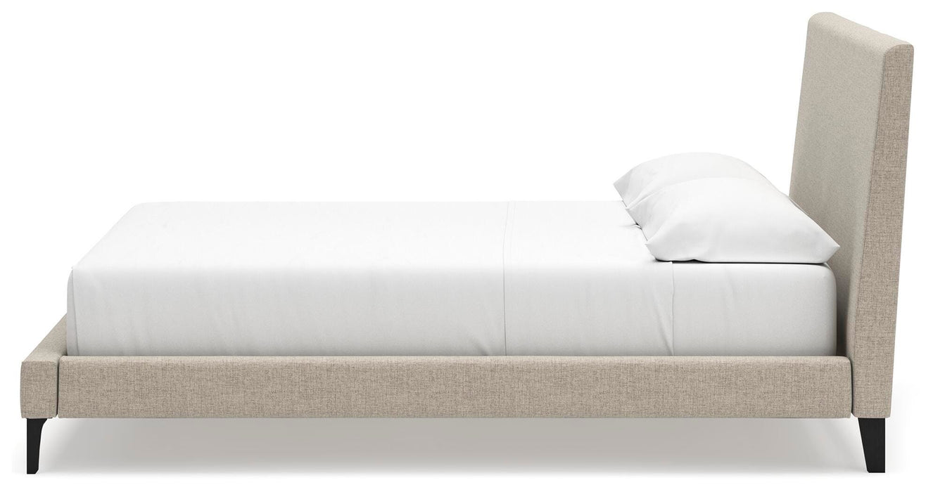 Cielden Upholstered Bed with Roll Slats - Eclectic 79 Furniture Store
