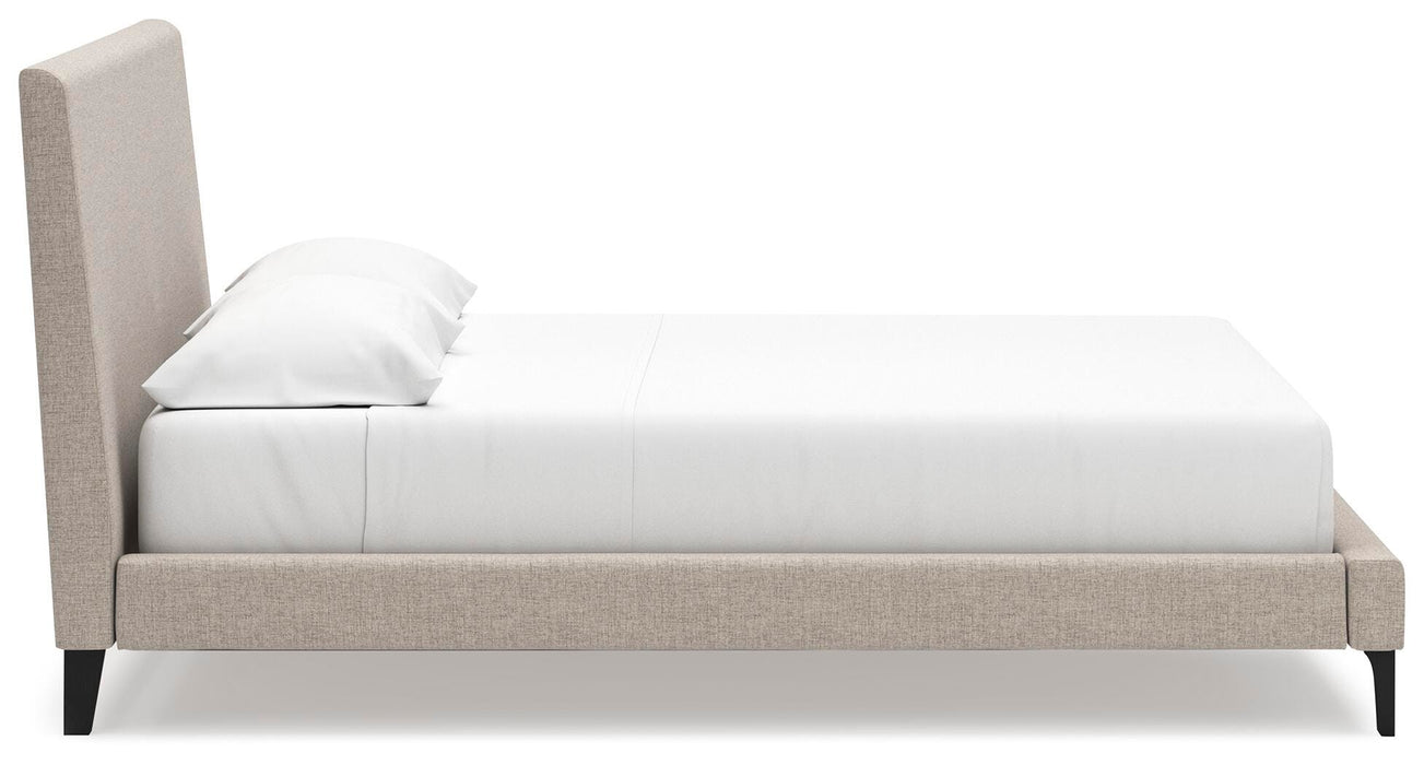 Cielden Upholstered Bed with Roll Slats - Eclectic 79 Furniture Store