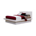 Jessica Contemporary White Eastern Kind Bed - Eclectic 79 Furniture Store