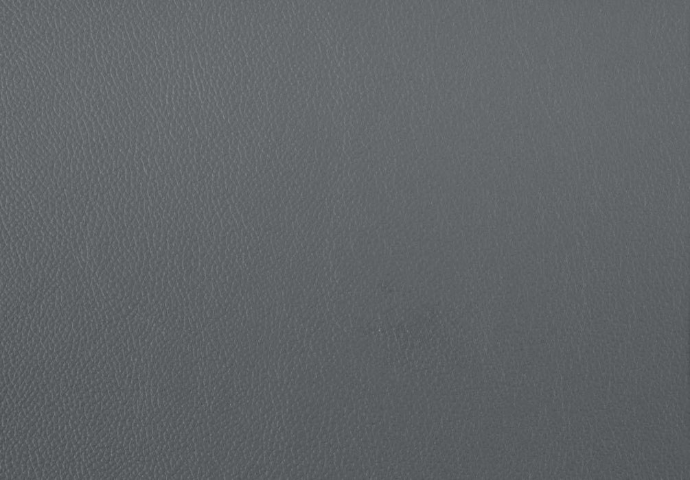 Denizen Chair in Dark Gray 9537DGY-1