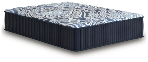 Firm Luxe 2.0 Mattress - Eclectic 79 Furniture Store