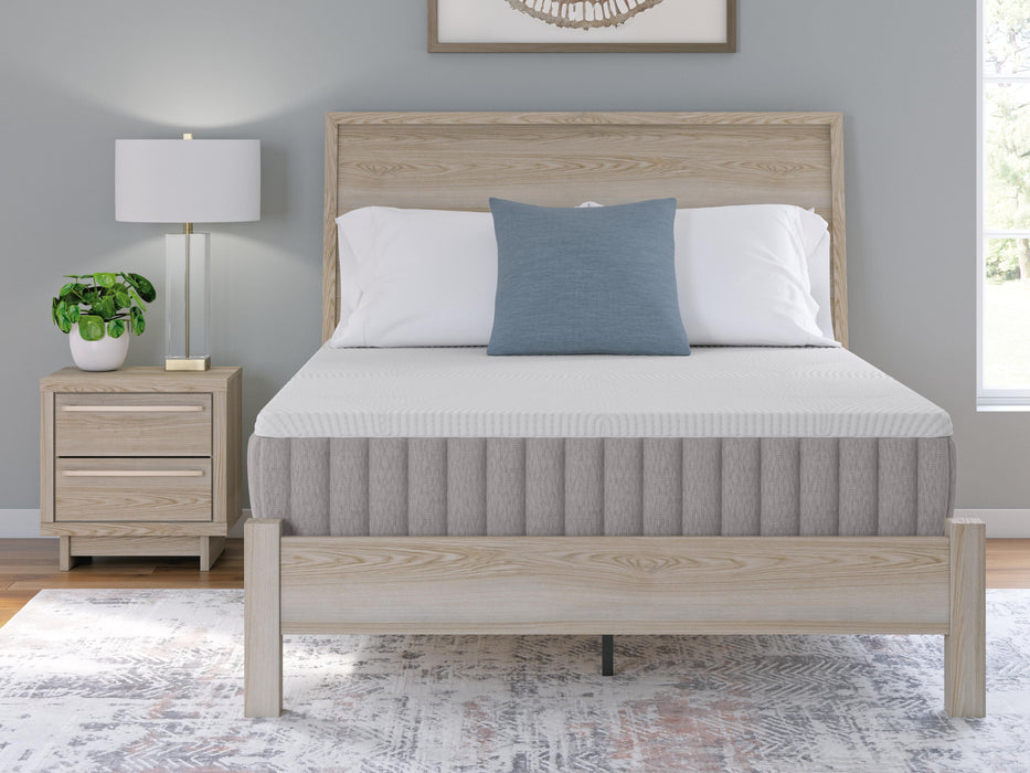 Terra Sleep Firm Mattress - Eclectic 79 Furniture Store