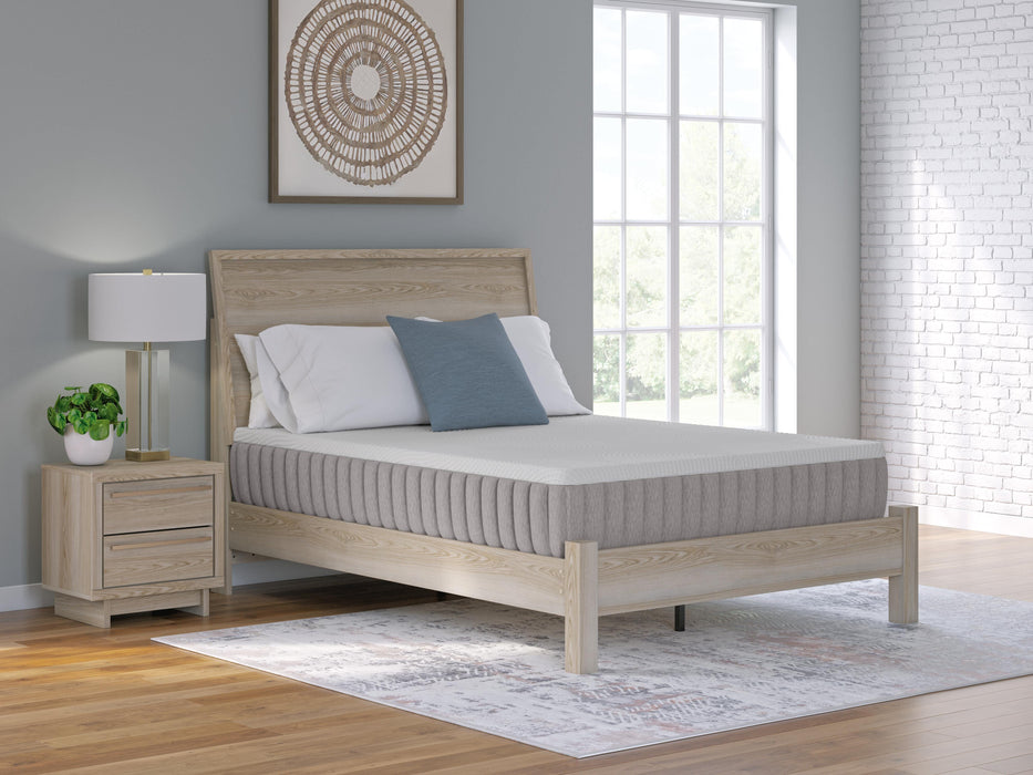 Terra Sleep Firm Mattress - Eclectic 79 Furniture Store