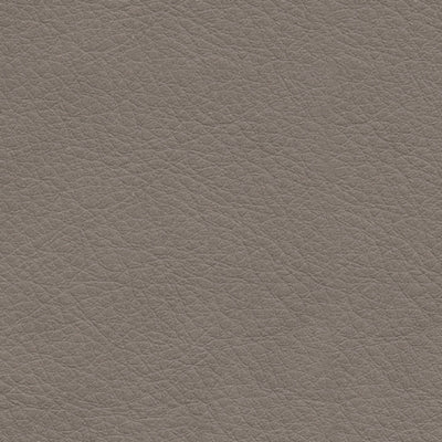 5Z-Comfort Power Reclining Sofa - Eclectic 79 Furniture Store