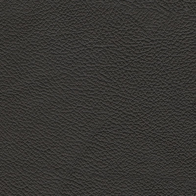 5Z-Comfort Power Reclining Sofa - Eclectic 79 Furniture Store